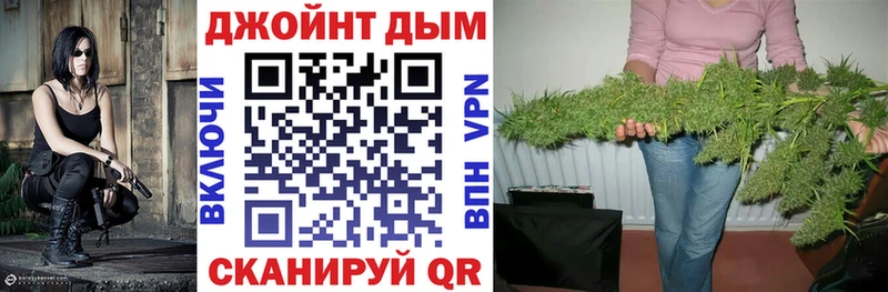 Купить  Мичуринск  Конопля ГИДРОПОН 